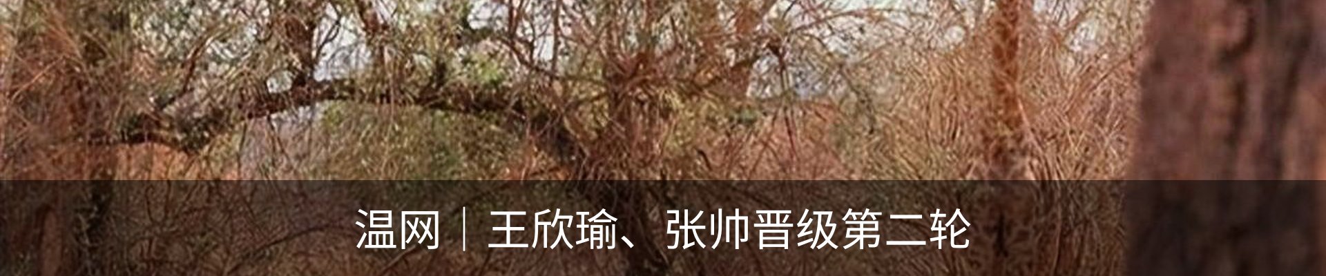 内页banner