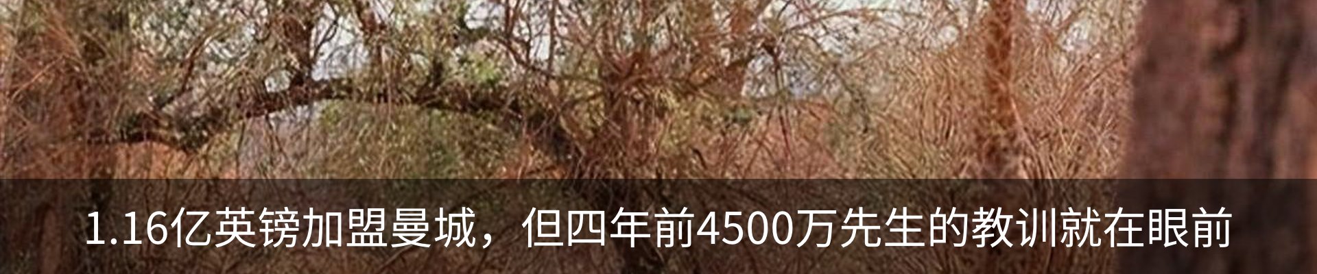 内页banner